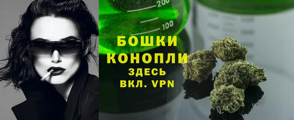 стафф Грязовец