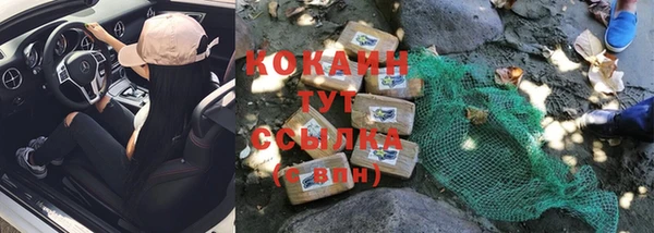 стафф Грязовец