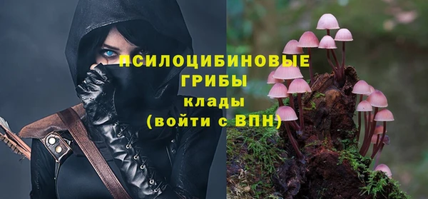 кокаин Губаха