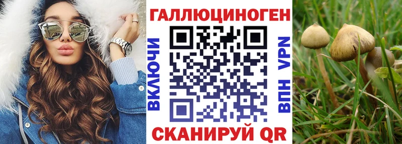 где можно купить   Скопин  Галлюциногенные грибы GOLDEN TEACHER 