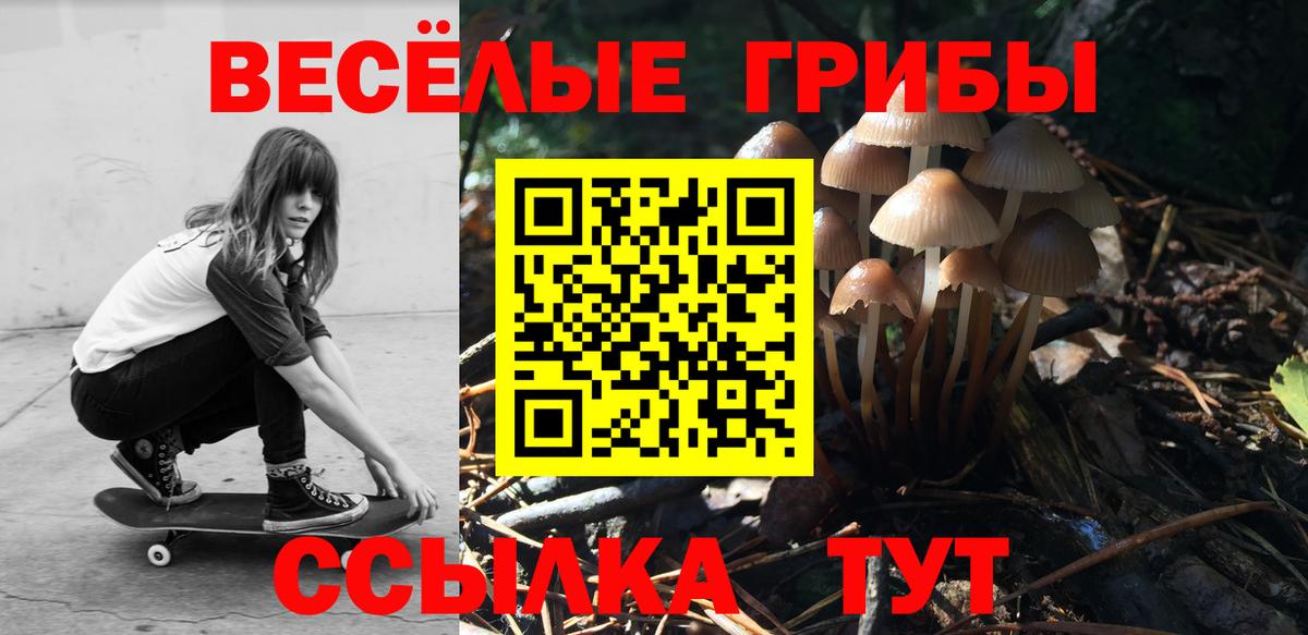 Скопин  Галлюциногенные грибы ЛСД  Вход с VPN 