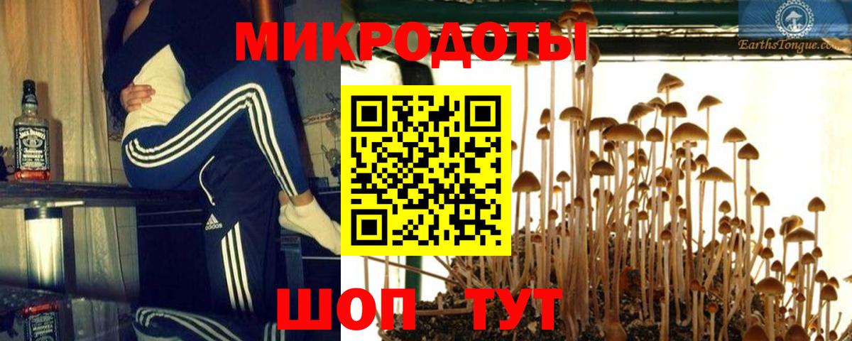 Псилоцибиновые грибы GOLDEN TEACHER  Скопин 